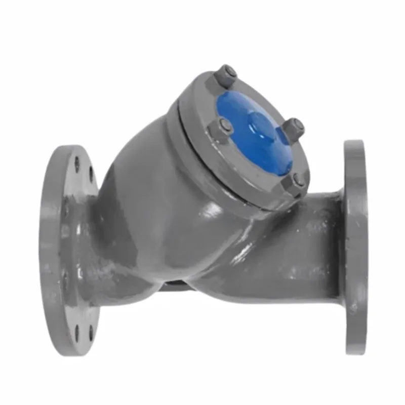 Isihluzi seCarbon Steel Flanged Y-type