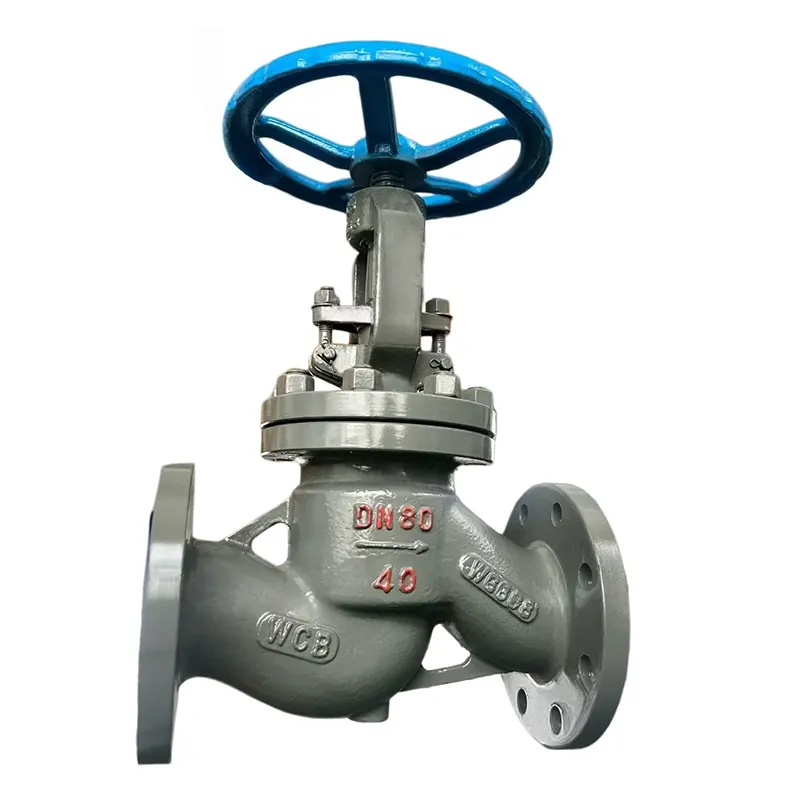 I-Carbon Steel yeSizwe yeGlobhu iValve