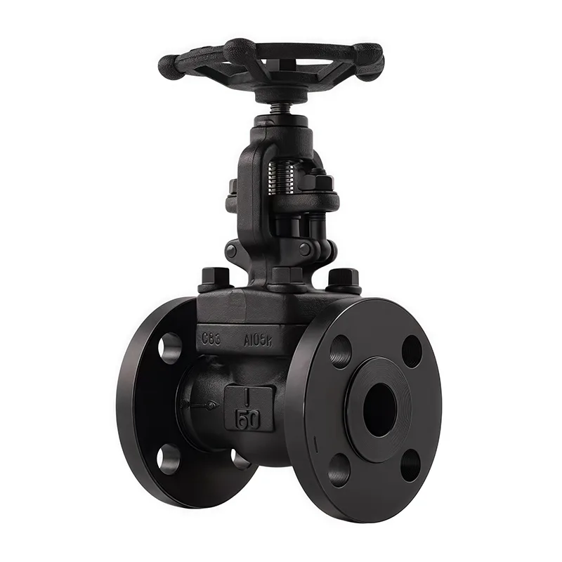 Forged Flanged Globe iValve