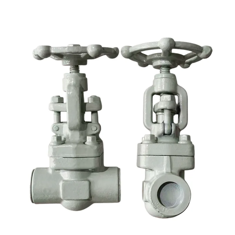I-Socket-welded Forged Gate Valve