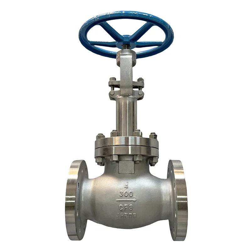 Stainless Steel Flange Globe iValve
