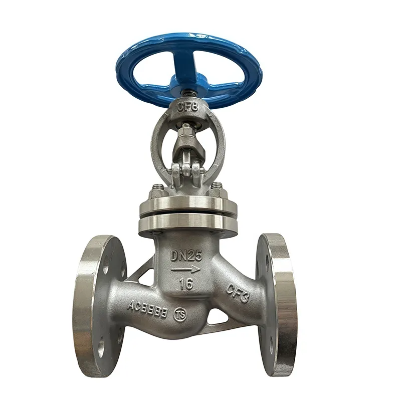 Stainless Steel Globe iValve Flanged End