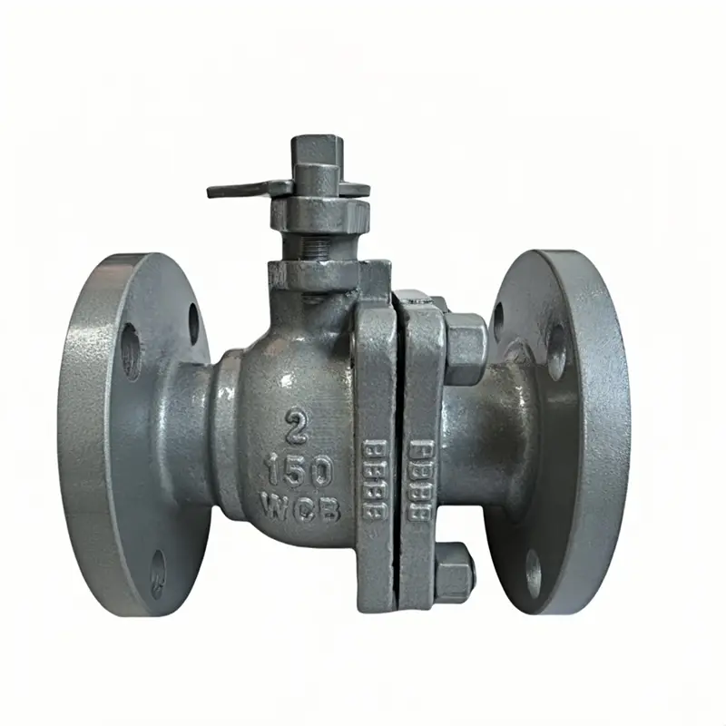 Ivalve yeBhola yeWCB